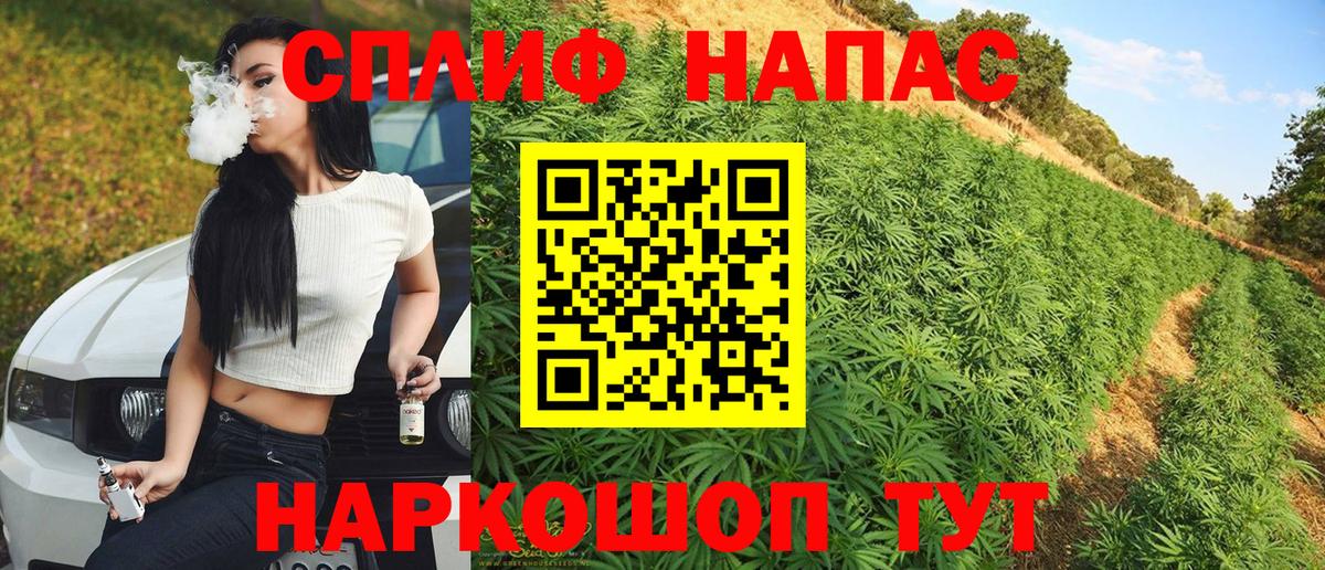 Каннабис гибрид  Вход с VPN  Конопля VHQ  Шишки марихуана ГИДРОПОН  Ахтубинск 